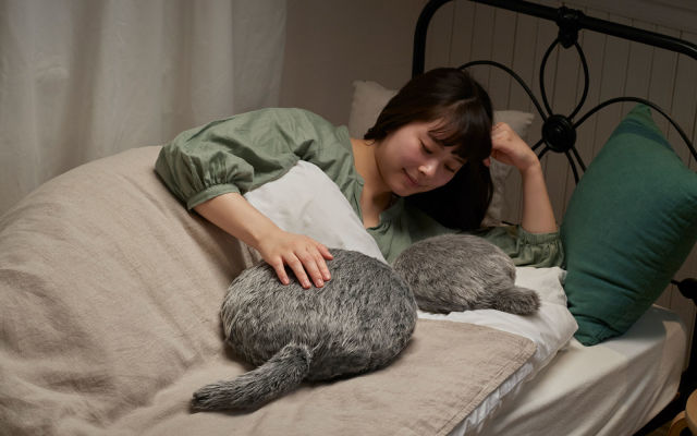 The Petit Qoobo robotic cat tail pillow is available to pre-order on July 30th